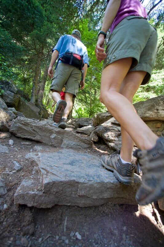 Physical exercise like walking and hiking are part of a wellness program