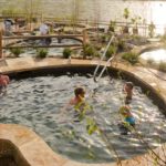 Communal soaking at Iron Mountain Hot Springs